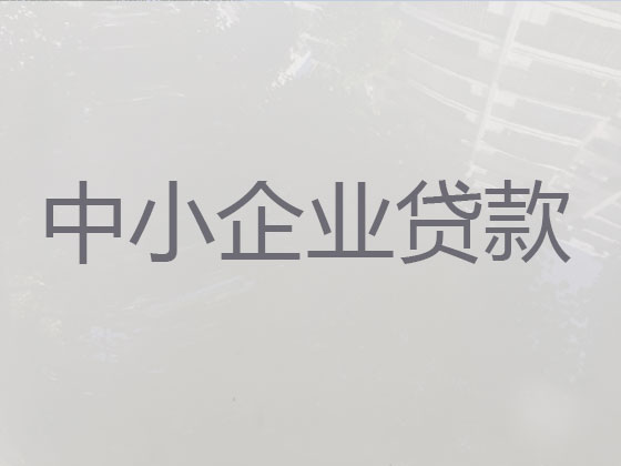 赣州小微企业贷款中介公司